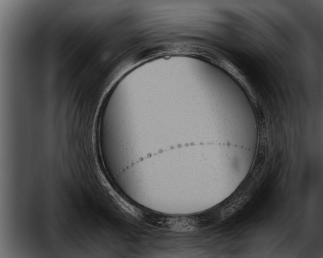 X0000052610803200507160036