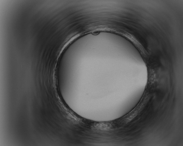 X0000052610806200507160036