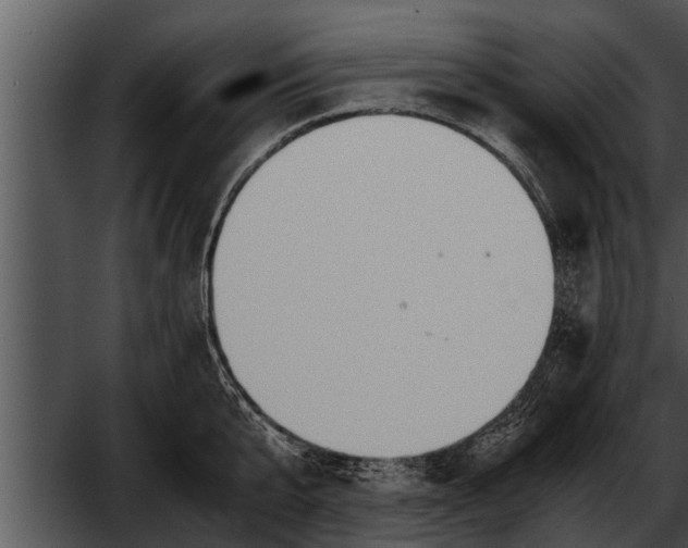 X0000052610807200507160036