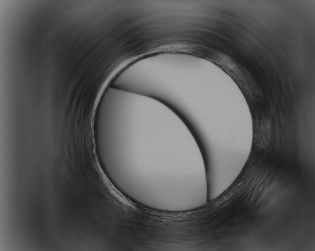 X0000052610808200507160036