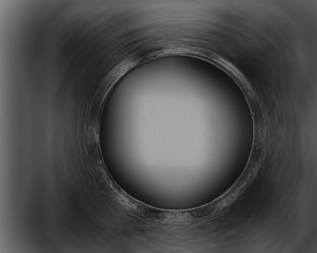 X0000052610809200507160036