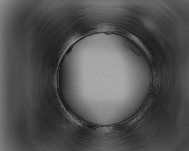 X0000052610810200507160036