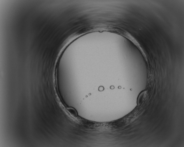 X0000052610811200507160036