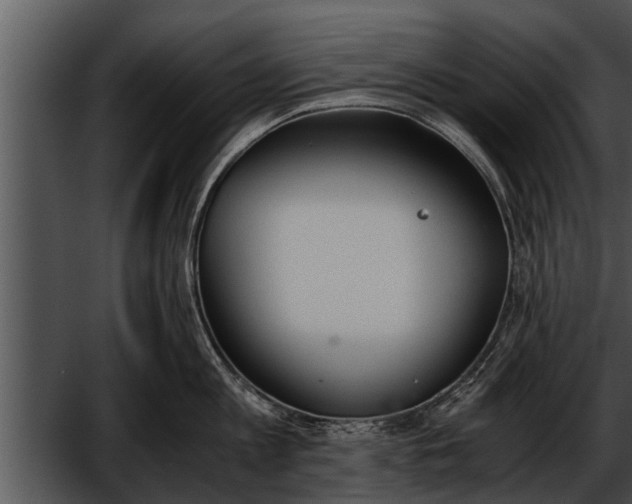 X0000052610813200507160036