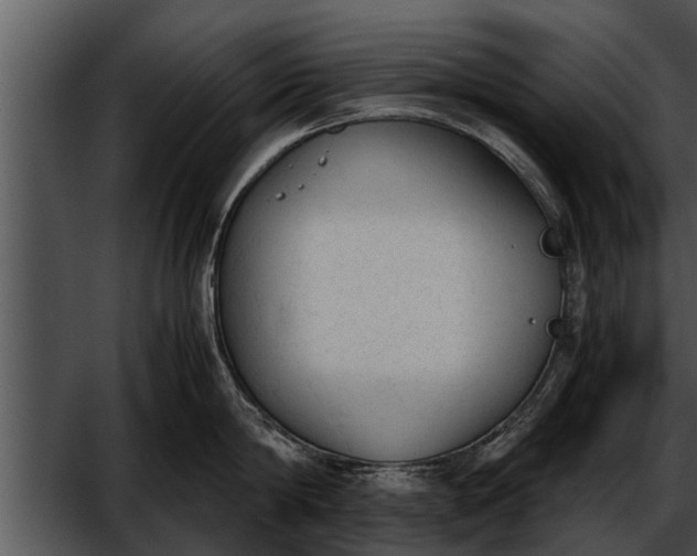 X0000052610814200507160036