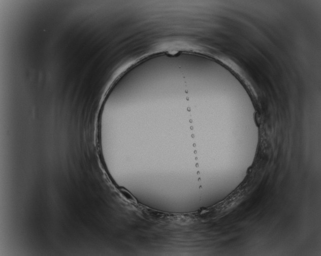 X0000052610815200507160036