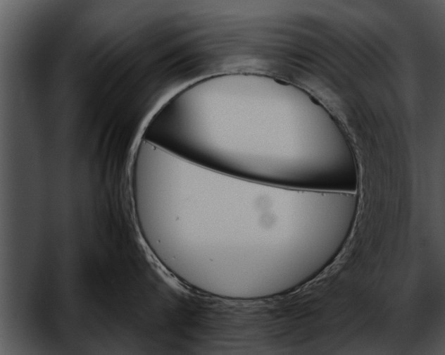 X0000052610816200507160035