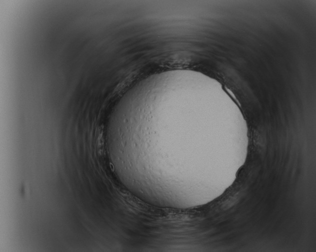 X0000052610818200507160035