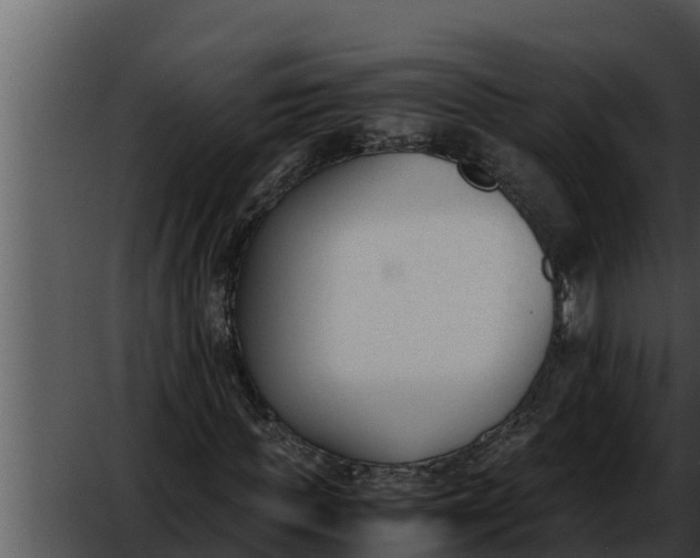 X0000052610819200507160035