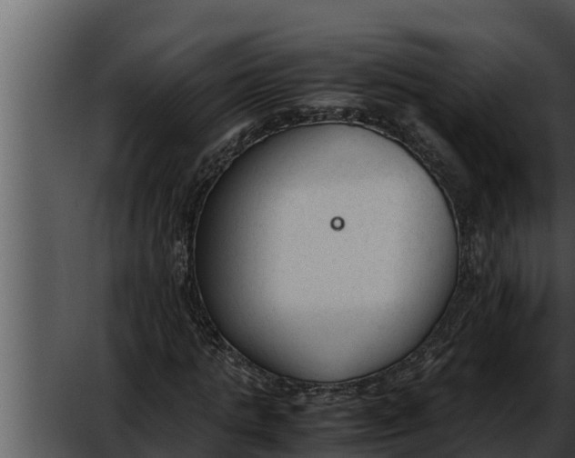 X0000052610821200507160035