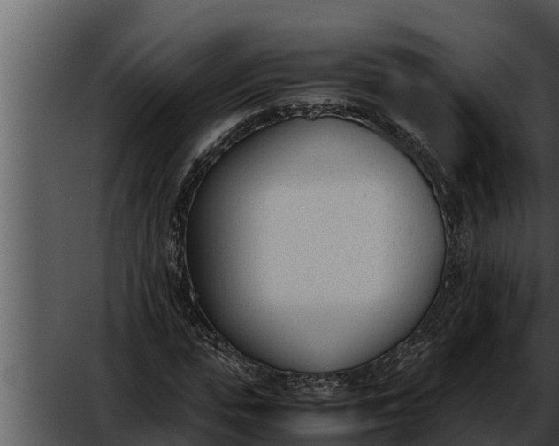 X0000052610823200507160035