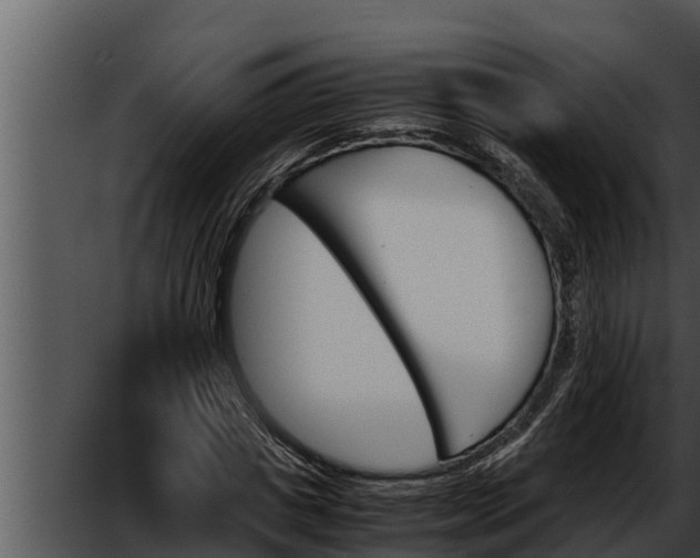 X0000052610825200507160035