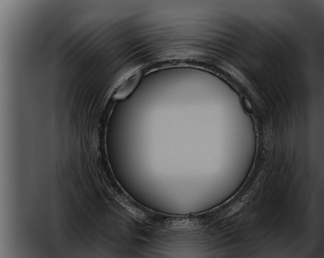 X0000052610826200507160035