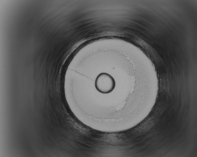 X0000052610828200507160035