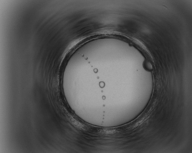 X0000052610831200507160035