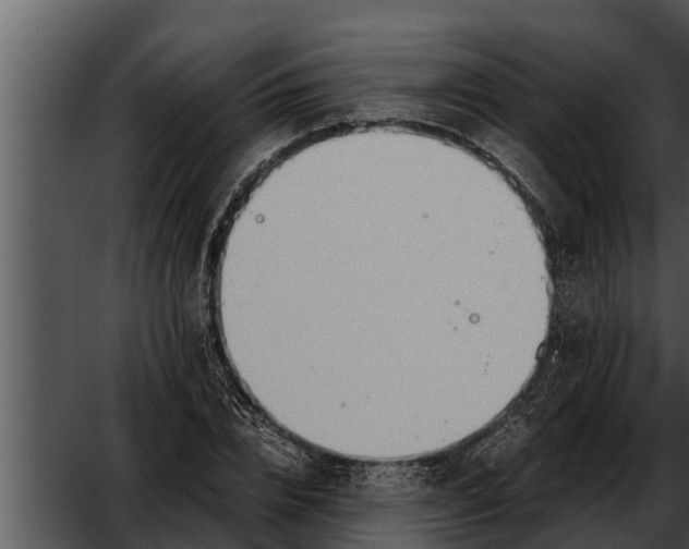 X0000052610832200507160035