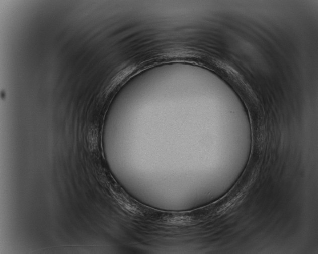 X0000052610833200507160035