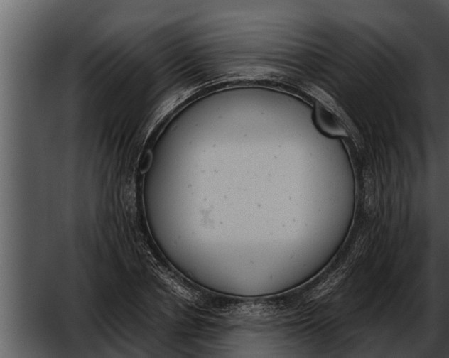 X0000052610834200507160035