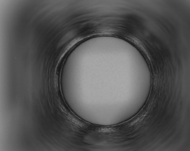 X0000052610835200507160035