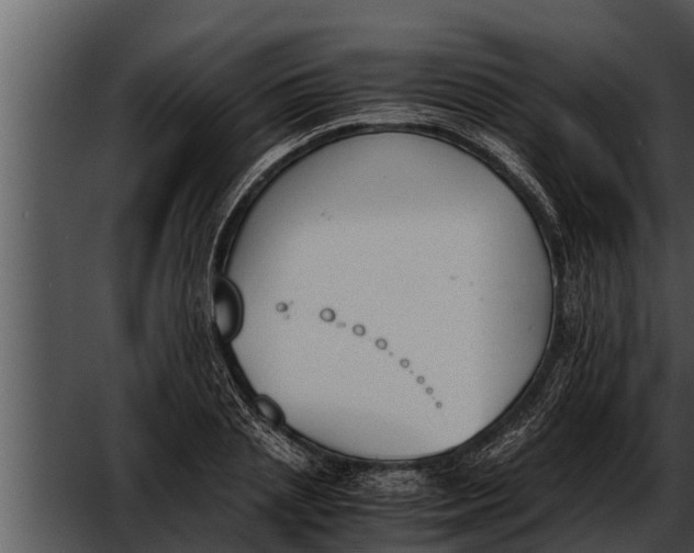 X0000052610837200507160035