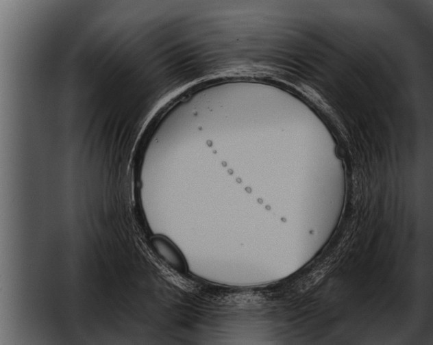 X0000052610838200507160035