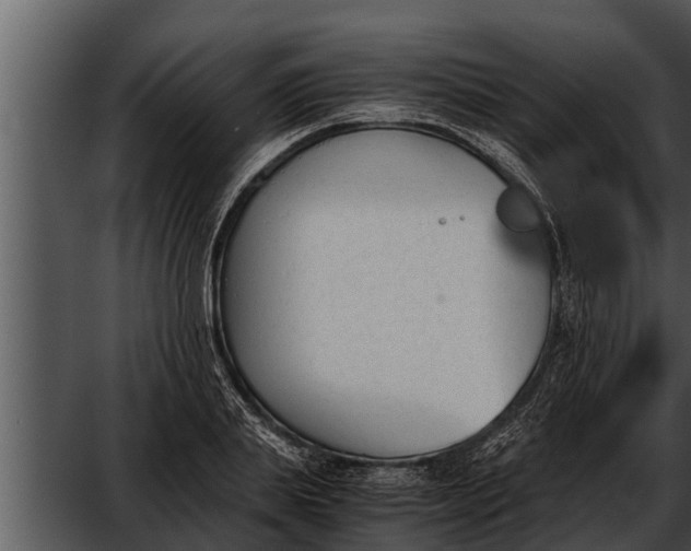 X0000052610839200507160035