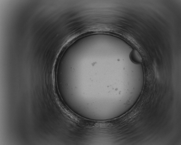 X0000052610840200507160035