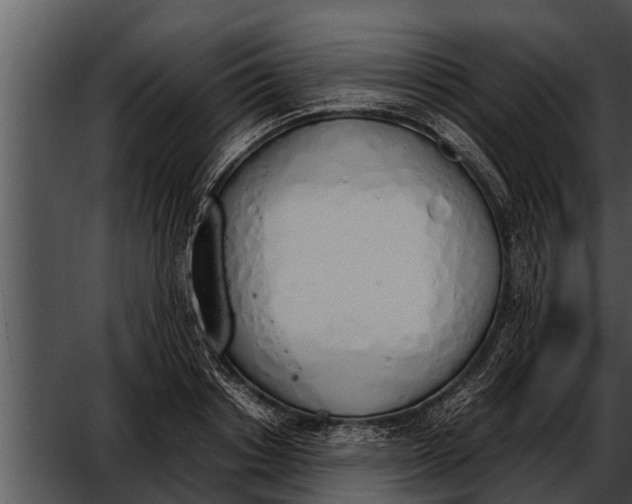 X0000052610842200507160035