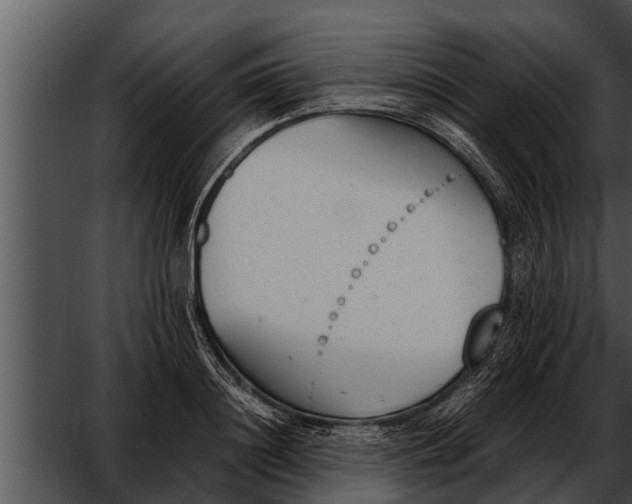 X0000052610844200507160035