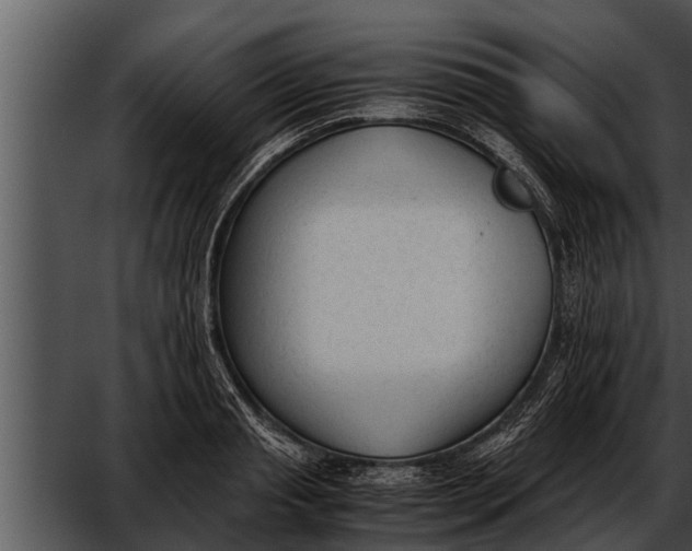 X0000052610845200507160035