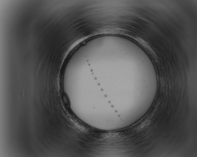 X0000052610846200507160035