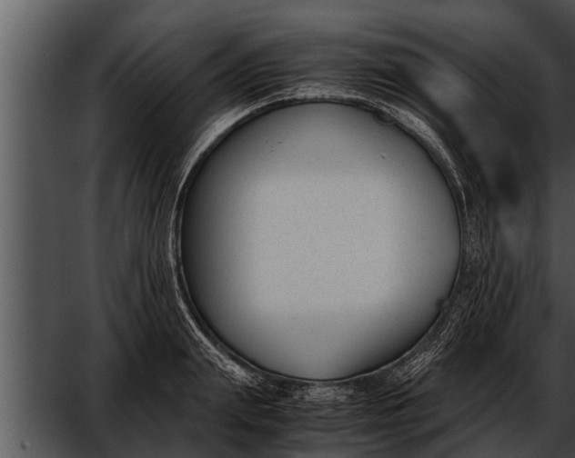 X0000052610847200507160035