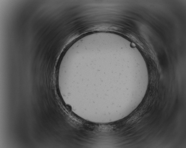 X0000052610848200507160035