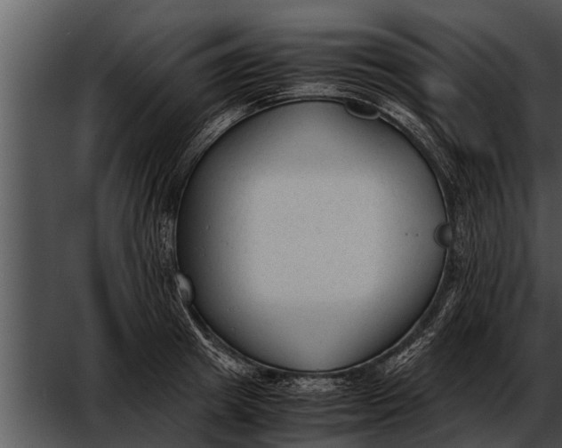 X0000052610849200507160035