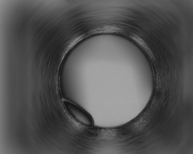 X0000052610850200507160035