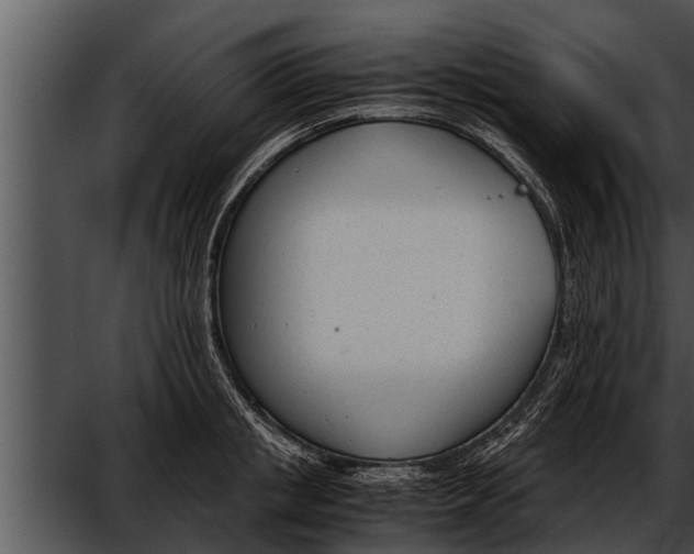 X0000052610853200507160035