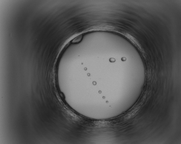 X0000052610854200507160035