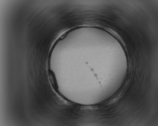 X0000052610855200507160035