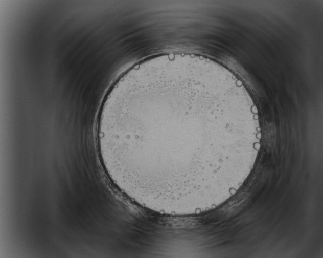 X0000052610856200507160035