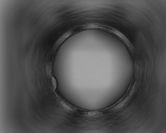 X0000052610857200507160035