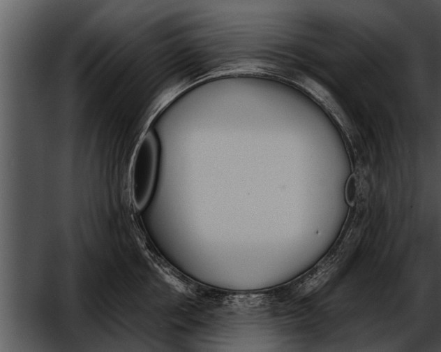 X0000052610858200507160035