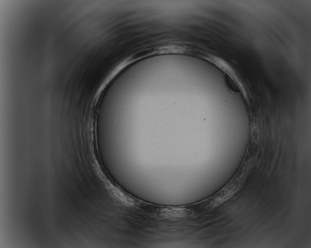 X0000052610859200507160035