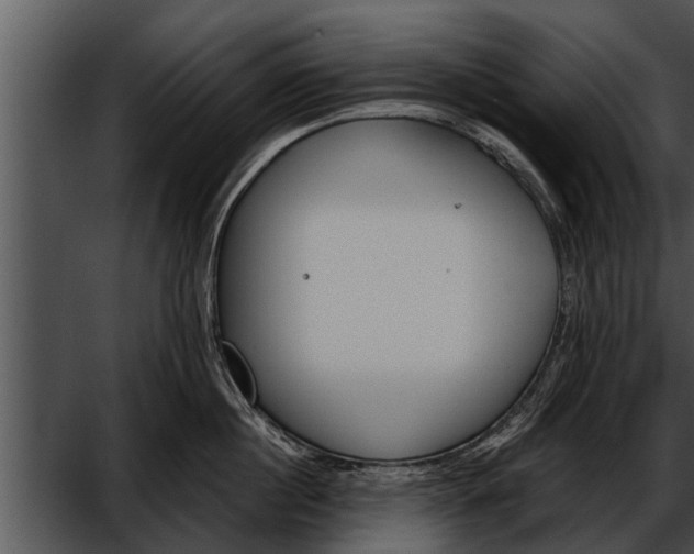 X0000052610860200507160035