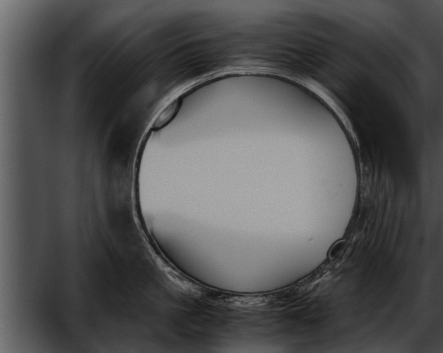 X0000052610861200507160035