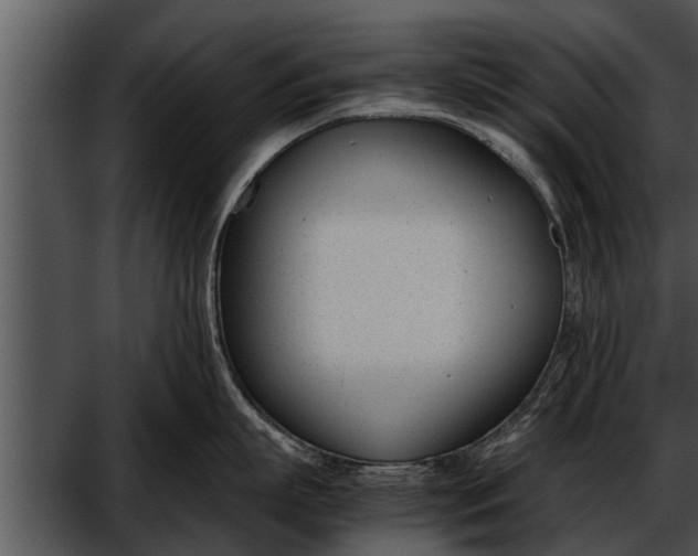 X0000052610863200507160035