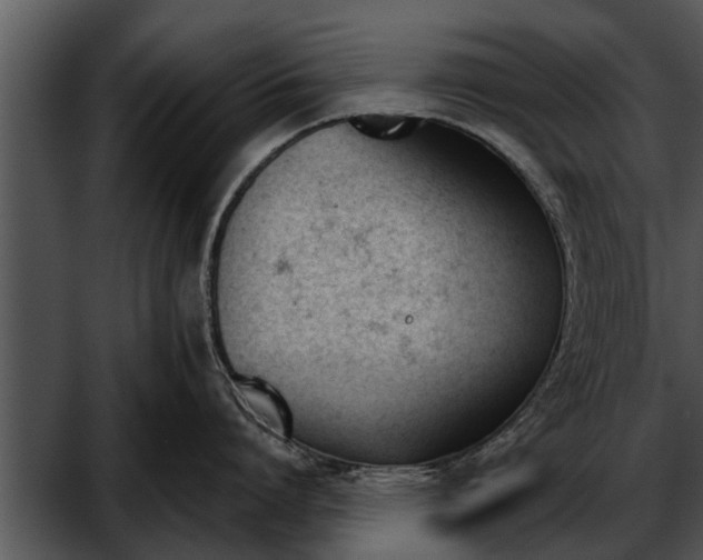 X0000052610864200507160035