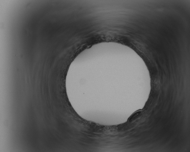 X0000052610865200507160035