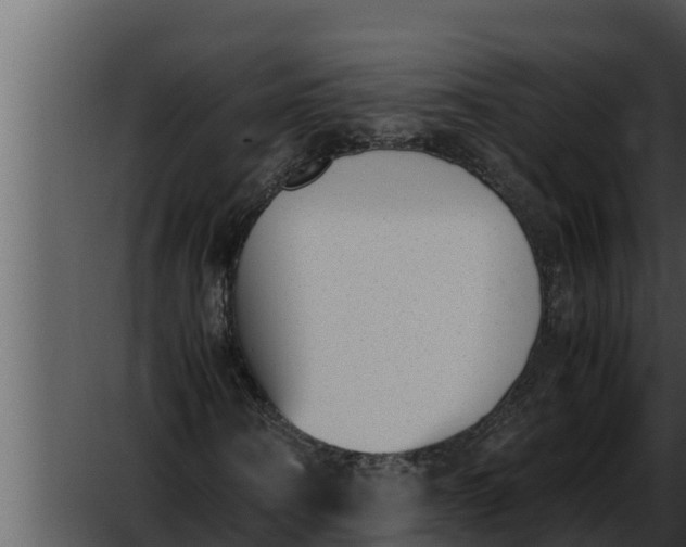 X0000052610866200507160035