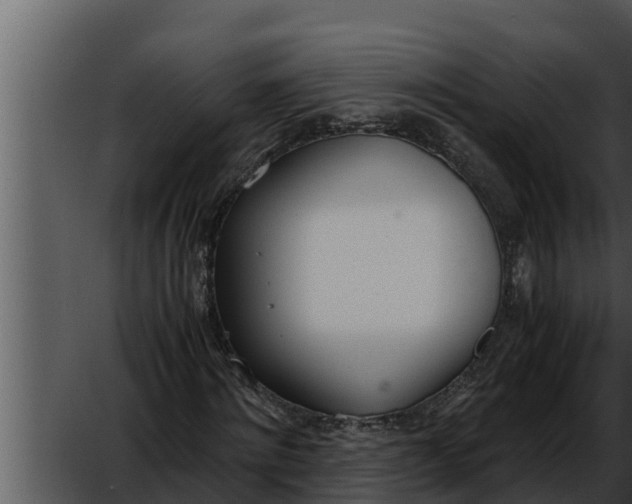 X0000052610868200507160035