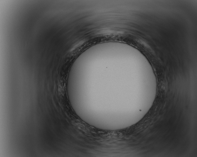 X0000052610869200507160035